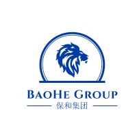 BaoHe Group Logo