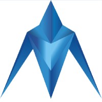 NINGBO STAR ALLIANCE INTERNATIONAL LOGISTICS CO,LTD Logo