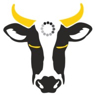 WebKow Logo