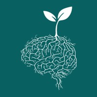 Wisdom Sprouts Training Solutions Logo