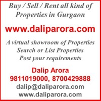 www-daliparora-com Logo