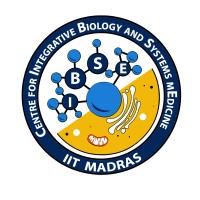 IBSE: Centre for Integrative Biology and Systems medicinE Logo