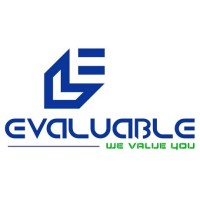 Evaluable Infoserve Pvt. Ltd. Logo