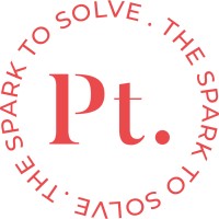 PLATINUM INDUSTRIES PVT. LTD. Logo