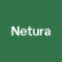 Netura Group Logo