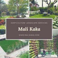Mali Kaka India Private Limited Logo
