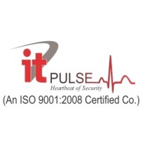 IT PULSE (Hikvision) Logo