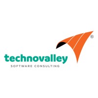 Technovalley Software India Private Limited Logo