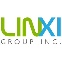 Linxi Group Logo