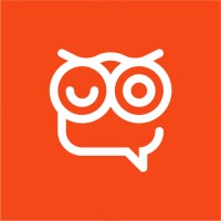 Night Owl Cinematics Logo