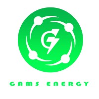 HIKO GAMS ENERGY PVT.LTD Logo