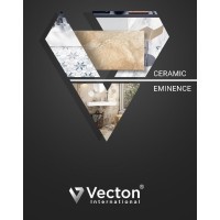 Vecton International Pvt Ltd. Logo