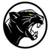 Panthera Group Logo