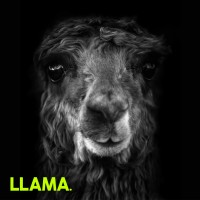 LLAMA Consulting Agency Logo