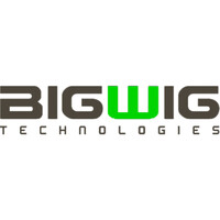 Bigwig Technologies Logo