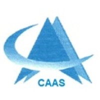 THE CONSULTANT FOR AUDITING & ACCOUNTING SERVICES Logo
