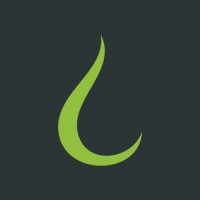Liquid Shape Logo