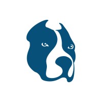 BlueHead Limited Logo