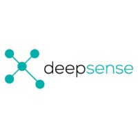 Deepsense Digital Logo