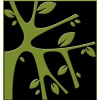 The Banyan Studio Logo