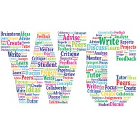 Wizius Career Logo
