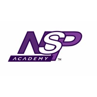 NSP Consulting Logo