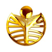 Raos Educational Institutions Logo
