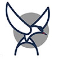 Yeto Global Logo