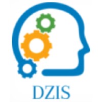 DigitalZone IT Solutions Logo