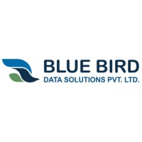 BLUEBIRD DATA SOLUTIONS PVT LTD Logo