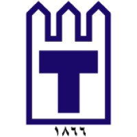 Towell Engineering Group Logo