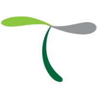 T Creative Logo