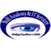 BULL IT SERVICES LLC Logo