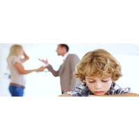 Rosenak Family Law & Mediation PA Logo
