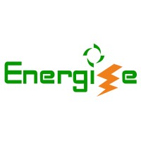Energize Sustainable Solutions Pvt Ltd Logo