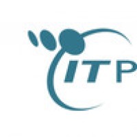 IT Partners Logo