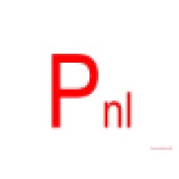 Performing Nederland BV Logo