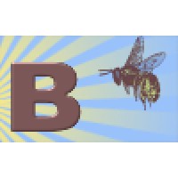 Big Bee Consultants Ltd Logo