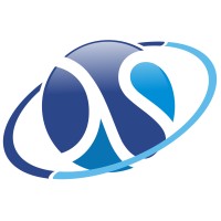 PT DS Solutions International Logo