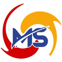 MindMine Services Private Limited. Logo