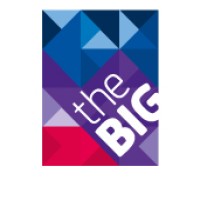 The Big Consulting Logo