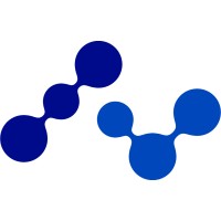 Netchem Inc. Logo