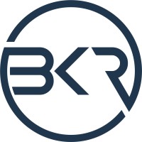 BKR Group (B.K. Rekhatex (HK) Limited) Logo