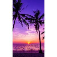 Awaken whats inside of you Logo