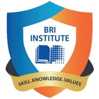 BRI Institute Logo