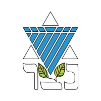 Netzer Australia Logo