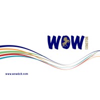 Wow Factor Logo