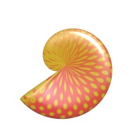 Nautilus Hearing Solutions Logo