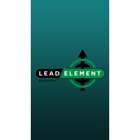 Lead Element Security Group Logo