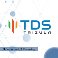 Trizula Digital Solutions Pvt Ltd Logo